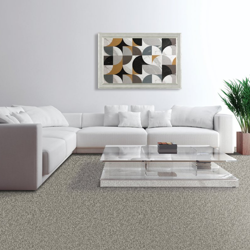 Living room with comfy carpet - Hl041- 701
