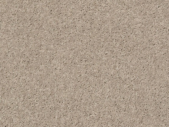Premier Flooring & Design in the Garner, NC area carries Cabana Bay by SHAW Floors