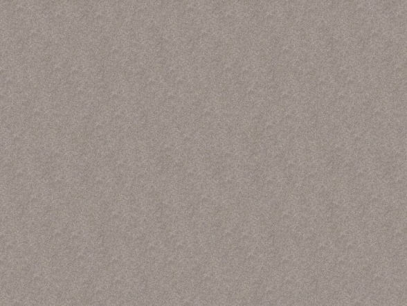 Premier Flooring & Design in the Garner, NC area carries Delicate Tones II by Mohawk