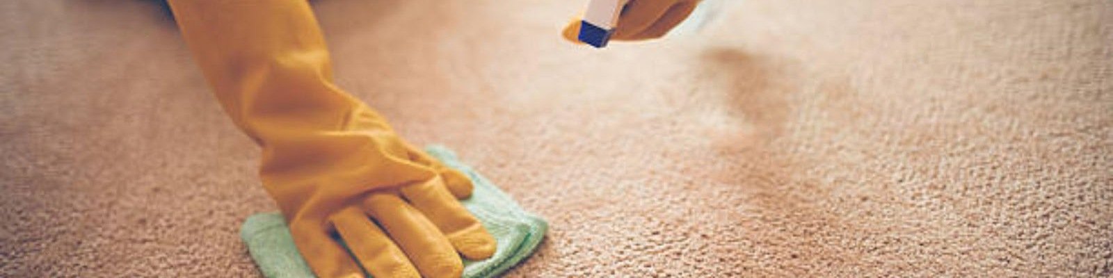 Carpet Stain Guide