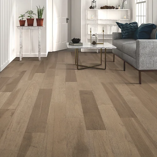 Premier Flooring & Design providing pet-friendly waterproof vinyl flooring in Garner, NC